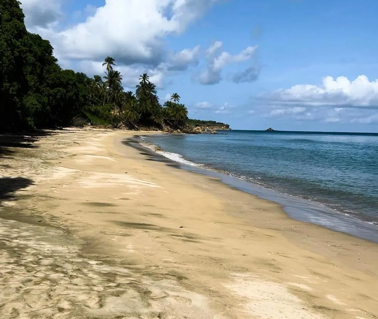 Bliss Oasis Hideaway Apartment Buccoo Trinidad And Tobago